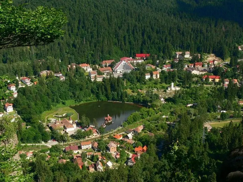 Ungurii din Covasna și Harghita Cer Ardealul, Guvernul le Oferă 30.000 de Tone de Pateu Ardeal – Perfect pentru Noua Dacia ‘Pateu Power’!