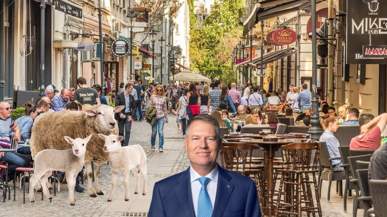 Iohannis surprins conducând o turmă de oi prin centrul Bucureștiului pentru a promova turismul rural