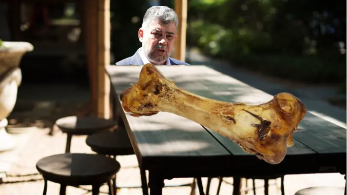 Marcel Ciolacu, îngrozit de adăposturile de animale: „Nu împart ciolanul nici cu un maidanez, darămite cu un câine botezat!”